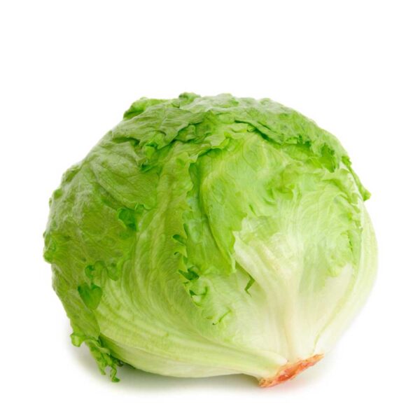 Cabbage