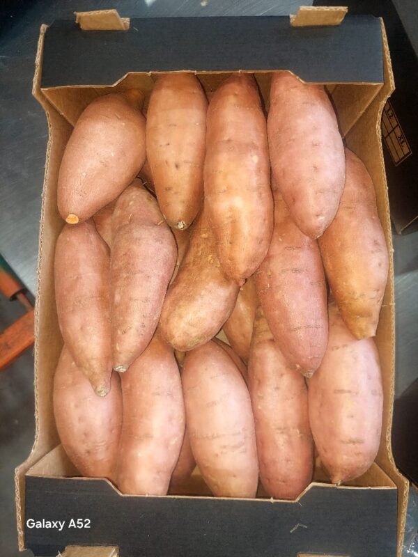 Sweet Potato - Image 2