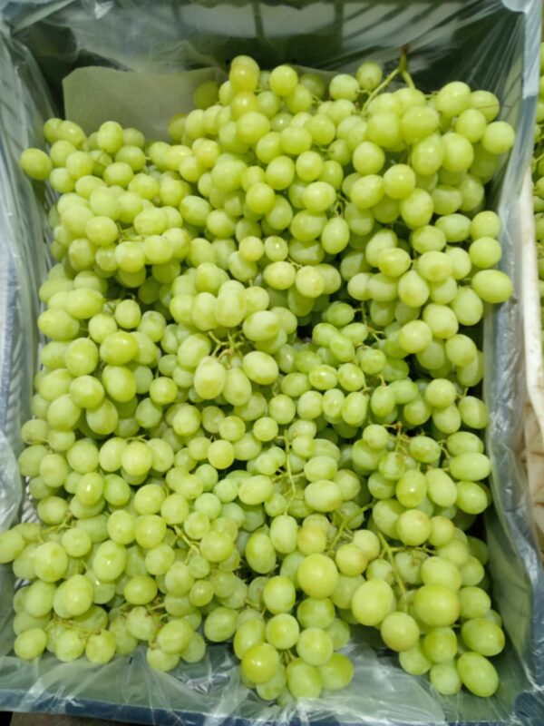 Green Grapes - Image 4