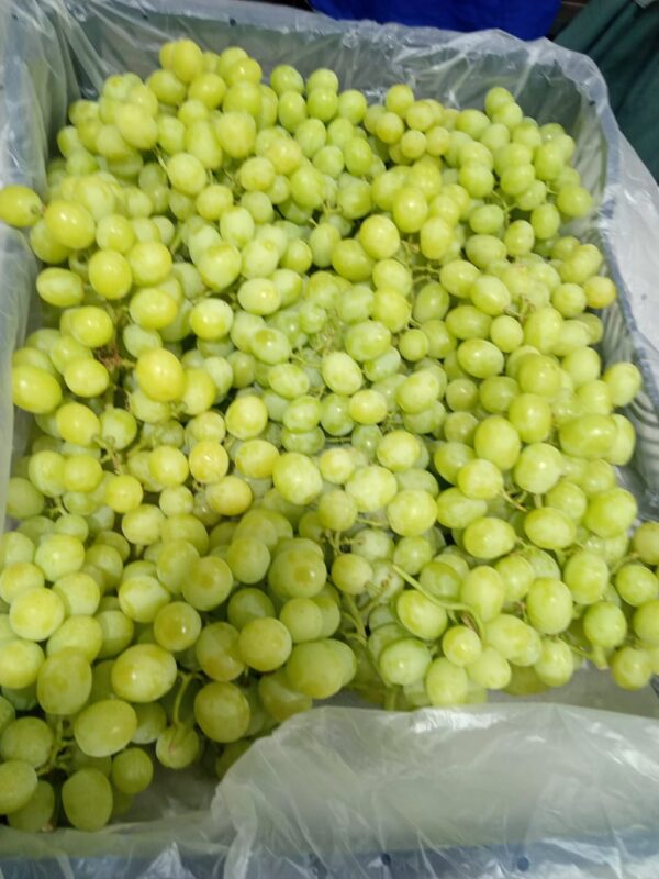 Green Grapes - Image 2